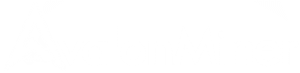 Avalon Miner